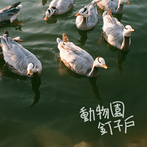 欧美老熟妇乱大交XXXXⅩ
