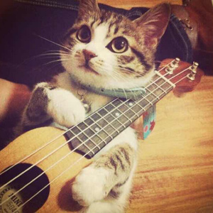 欧美老熟妇乱大交XXXXⅩ
